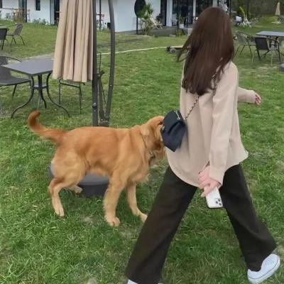 泰山大战女猎人